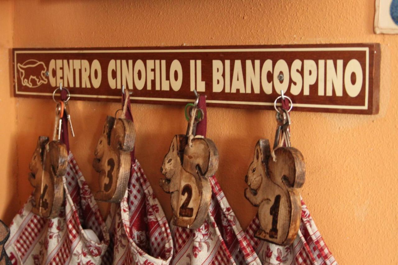 Il Biancospino Villa Casteggio Dış mekan fotoğraf